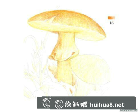 彩鉛畫教程