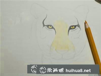 動物彩鉛