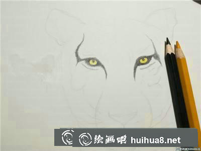 動物彩鉛