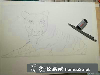 動物彩鉛