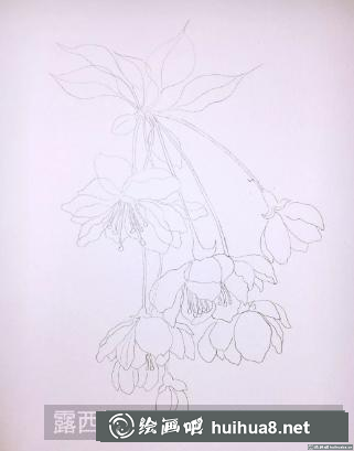 水彩畫海棠花