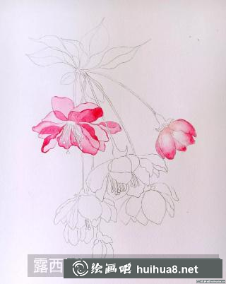 水彩畫海棠花
