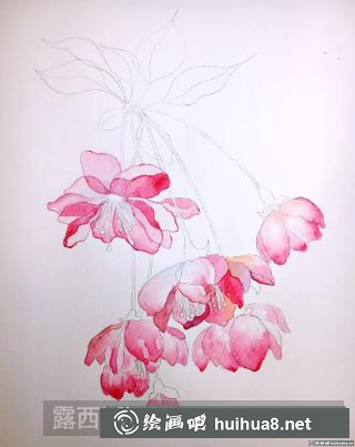 水彩畫海棠花