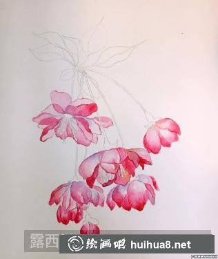 水彩畫海棠花