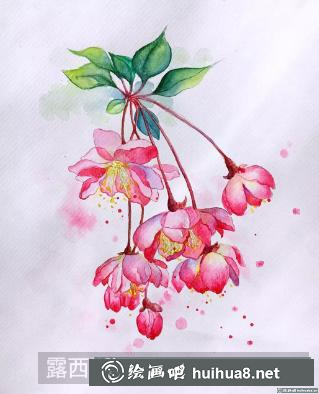 水彩畫海棠花
