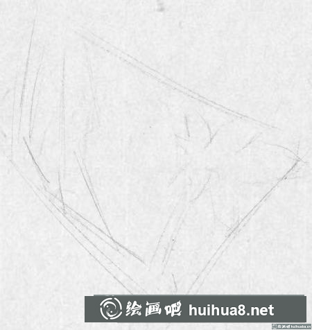 鋼筆畫(huà)藤蔓