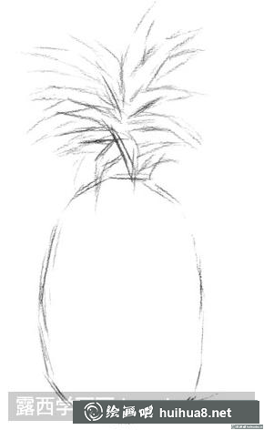 水粉畫菠蘿