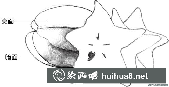 速寫畫楊桃