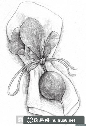素描畫小蘿卜