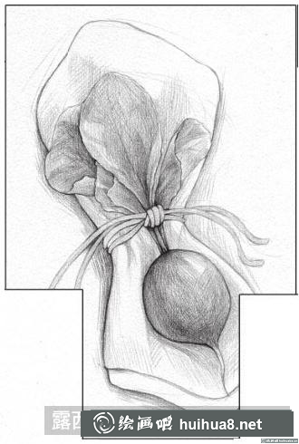 素描畫小蘿卜