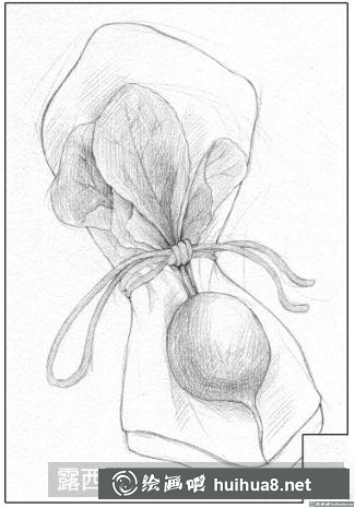 素描畫小蘿卜