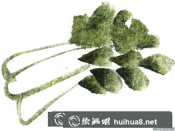 國畫白菜的畫法