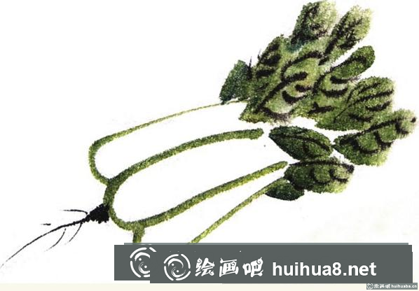 國畫白菜的畫法