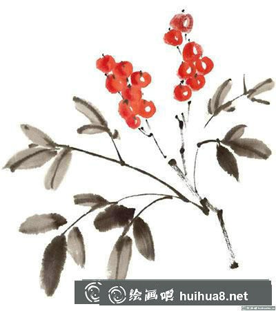 國(guó)畫(huà)南天竹怎么畫(huà)