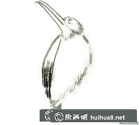 國畫翠鳥繪制技巧