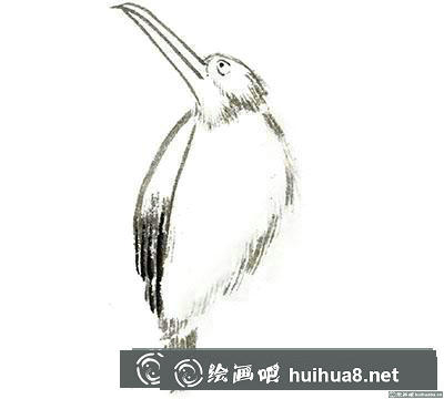國畫翠鳥怎么畫