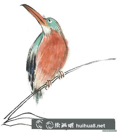 國畫翠鳥怎么畫
