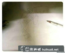 《紅色錦鯉插畫繪制教程》