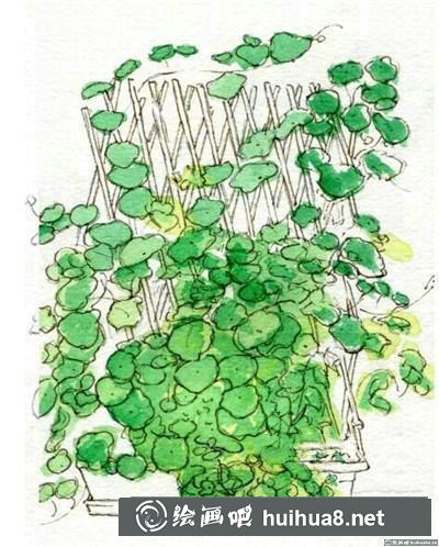 綠植水彩畫