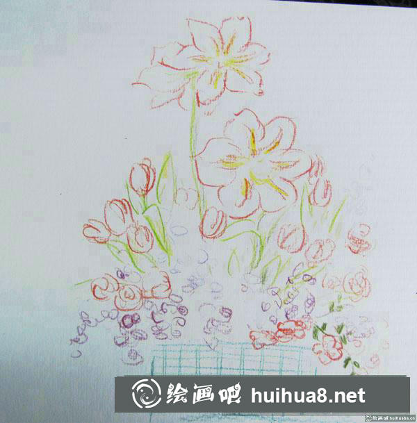 一盆薔薇花插畫