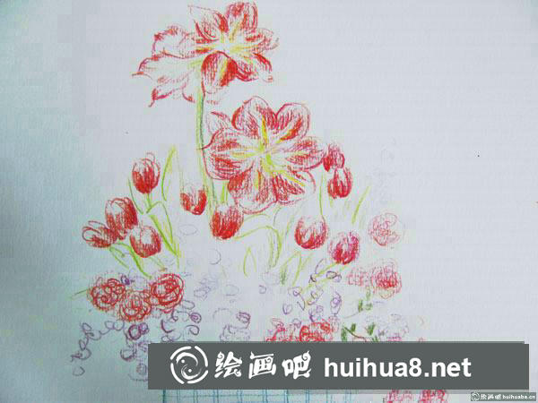 一盆薔薇花插畫