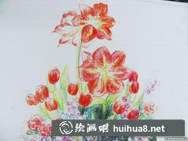 一盆薔薇花插畫