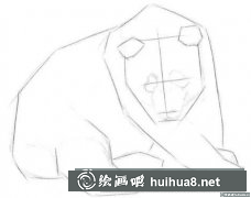 動(dòng)物素描教程：畫(huà)國(guó)寶大熊貓