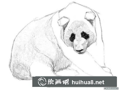 素描畫大熊貓