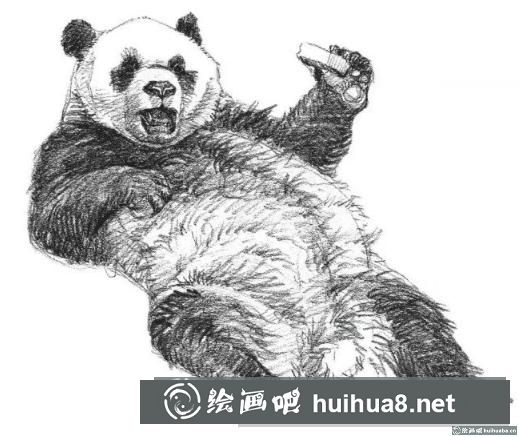 素描畫大熊貓
