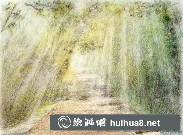 林蔭小路插畫