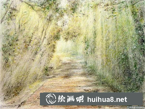 林蔭小路插畫