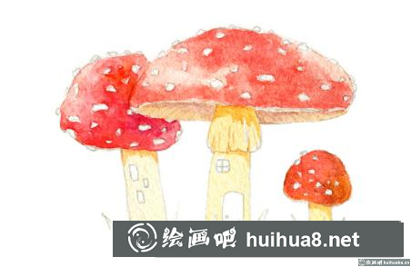 蘑菇屋插畫