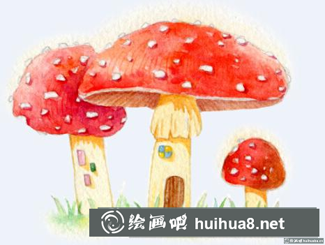 蘑菇屋插畫
