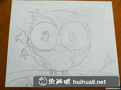 萌貓頭鷹插畫教學步驟