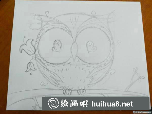 可愛貓頭鷹插畫