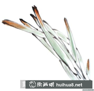 國畫水仙花