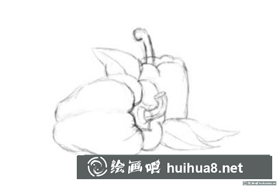 水粉畫柿子椒