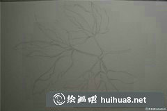 槭樹(shù)葉水彩畫(huà)教程分享