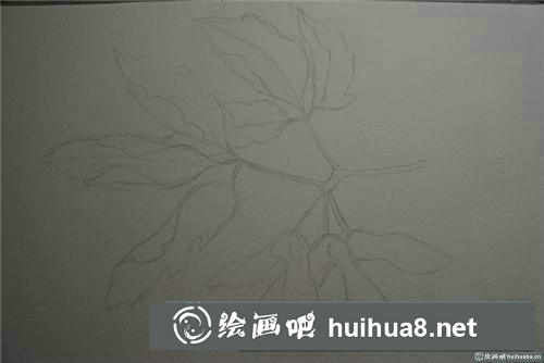 槭樹葉水彩畫