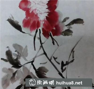 紅牡丹的寫意畫法
