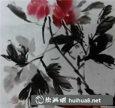 紅牡丹的寫意畫法