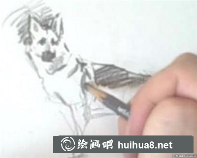 素描教程：怎么畫狗