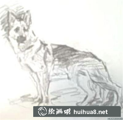 素描教程：怎么畫狗