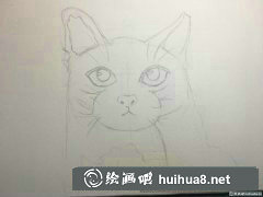 藍(lán)貓水彩畫(huà)教程入門(mén)必備