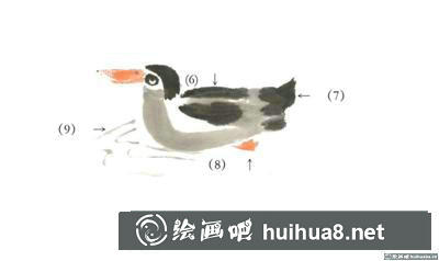 鴨子的畫(huà)法