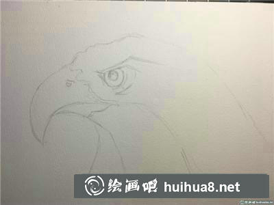 寫意老鷹水彩畫