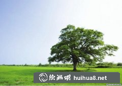 水粉畫樹步驟教程詳解