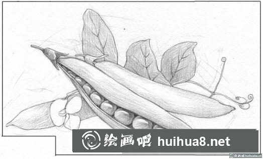 彩鉛畫草莓