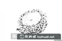 速寫教程四種花形畫法