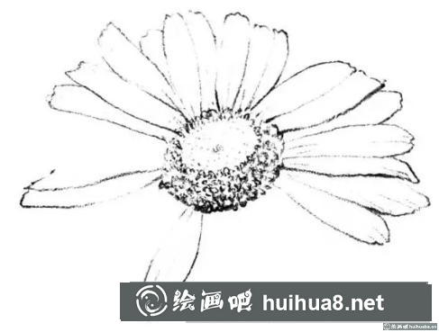 花卉的畫法